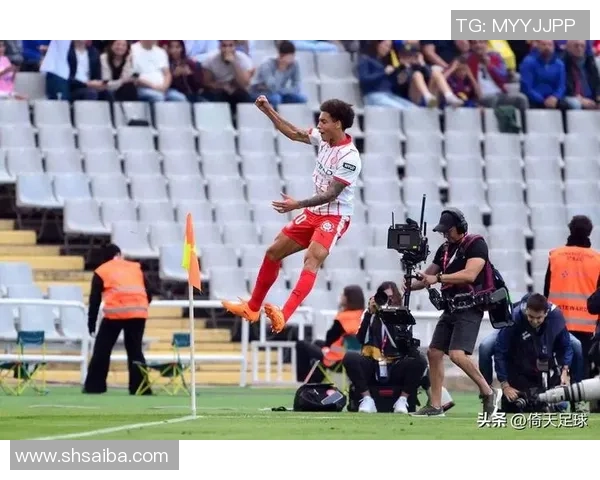 维特足球明星最新阵容揭晓球迷期待新赛季精彩表现 维特足球明星最新阵容揭晓球迷期待新赛季精彩表现