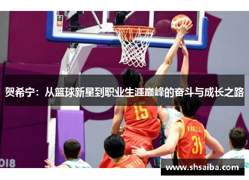贺希宁：从篮球新星到职业生涯巅峰的奋斗与成长之路