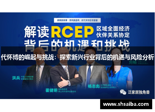代怀博的崛起与挑战：探索新兴行业背后的机遇与风险分析